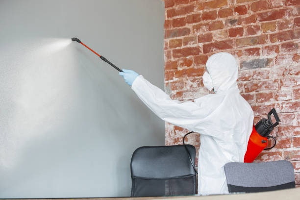 Best Forensic Mold Investigation  in Augusta, KY