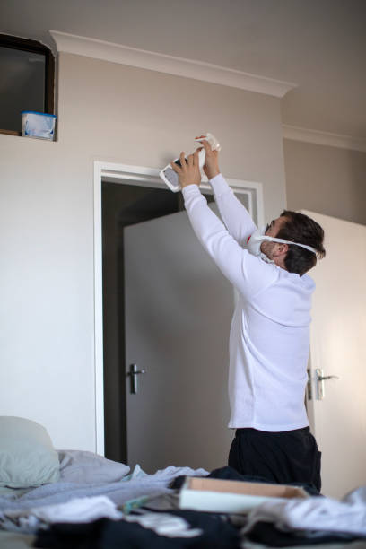 Mold Odor Removal Services in Augusta, KY