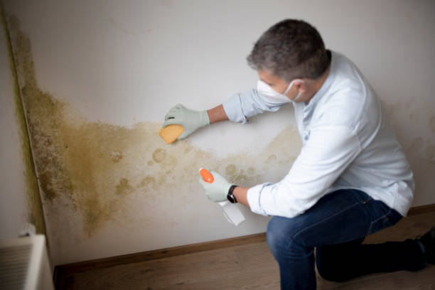 Best Mold-Related Health Consultation  in Augusta, KY