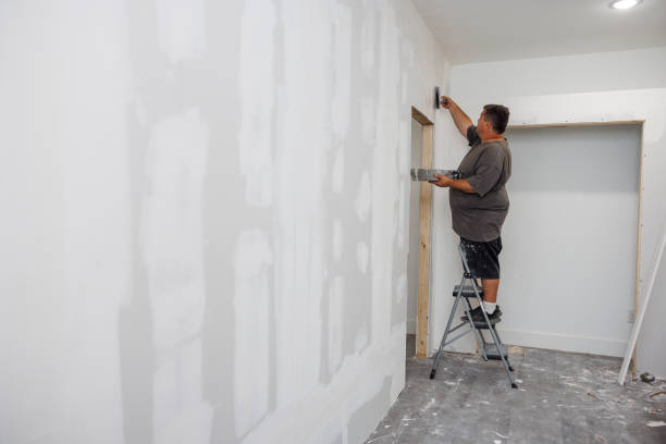 Best Comprehensive Air Testing for Mold Contaminants  in Augusta, KY