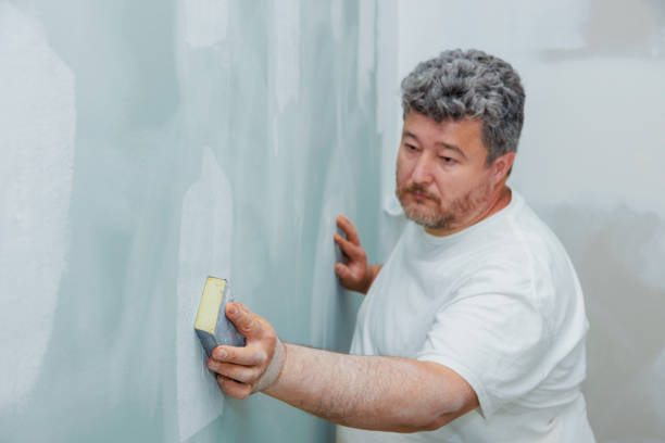  Augusta, KY Mold Removal Pros