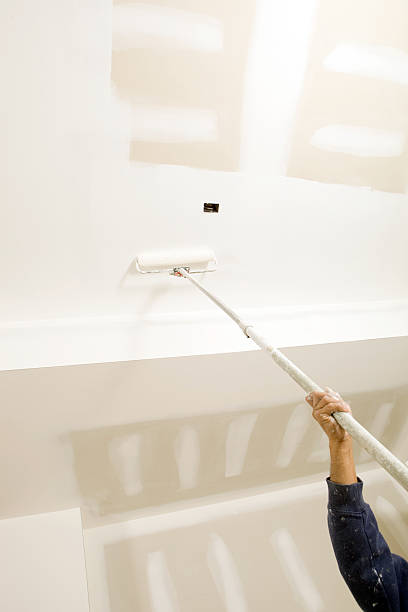 Best Mold Removal for HVAC Installations  in Augusta, KY