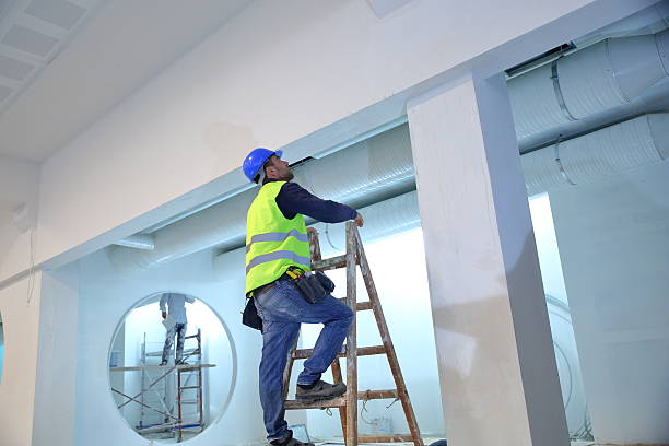 Best Airborne Mold Testing  in Augusta, KY