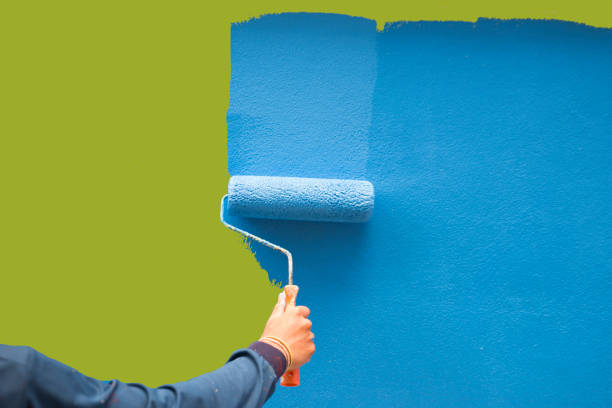 Best Mold Documentation for Insurance Claims  in Augusta, KY