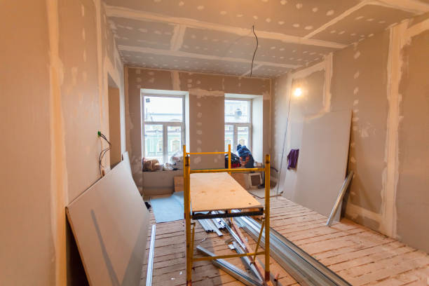 Best Mold Odor Removal Services  in Augusta, KY