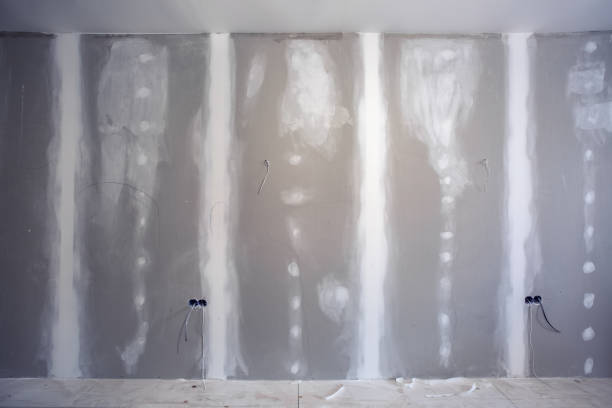 Best Mold Damage Restoration  in Augusta, KY