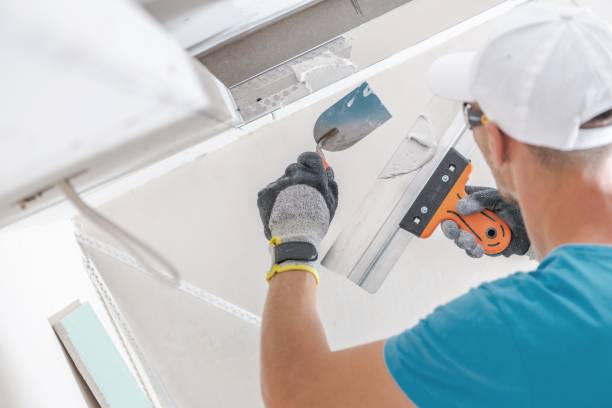 Best Environmental Consulting for Mold Prevention  in Augusta, KY